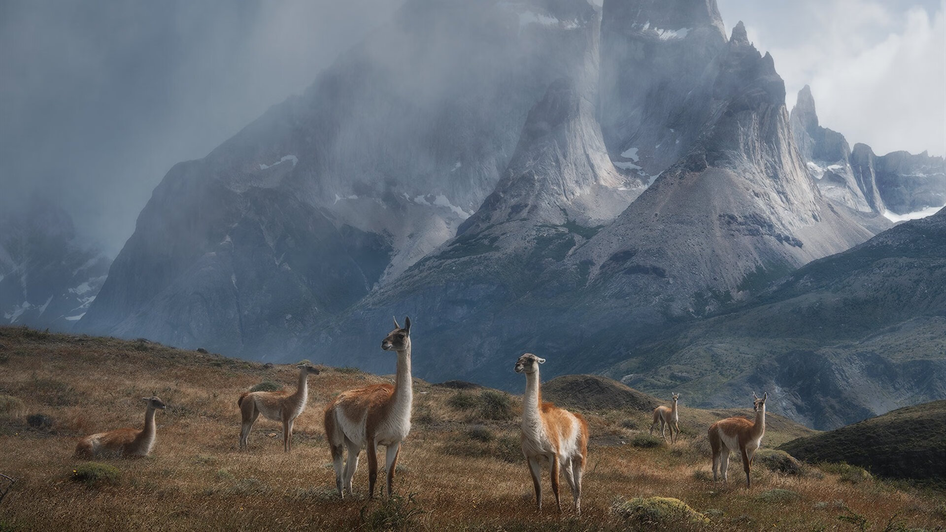 乐鱼官网安全-英超青训引入神经反馈训练提升注意力集中能力，英超训练基地