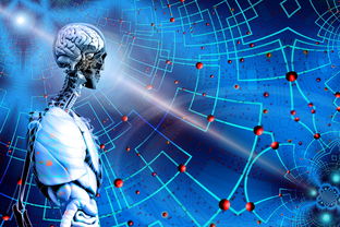 乐鱼体育-高校运动训练科学管理模式创新，科学的运动训练管理系统应包含哪些方面