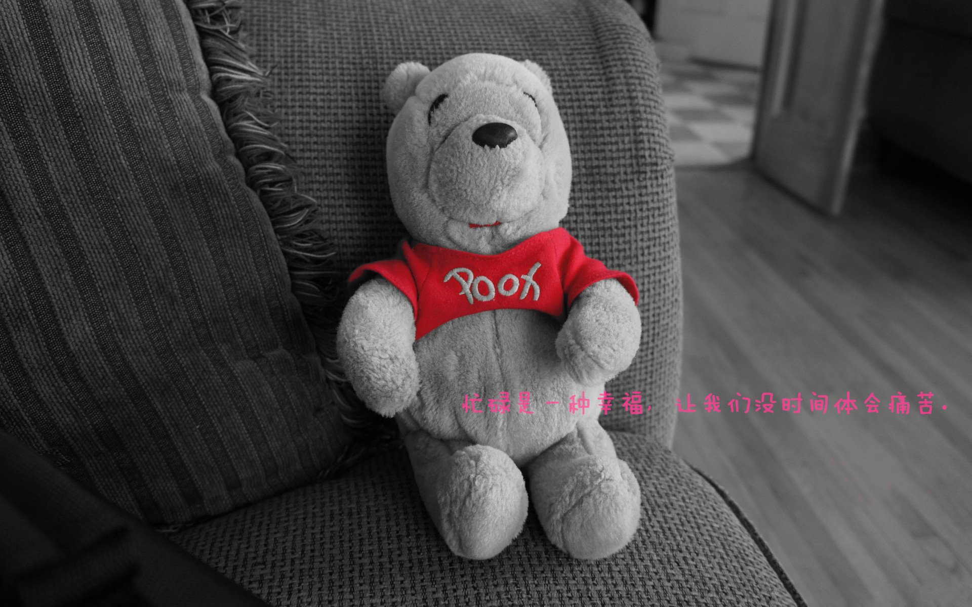 乐鱼官网安全-CBA球员退役安置机制逐步完善保障未来生活，cba退役后有退休金吗