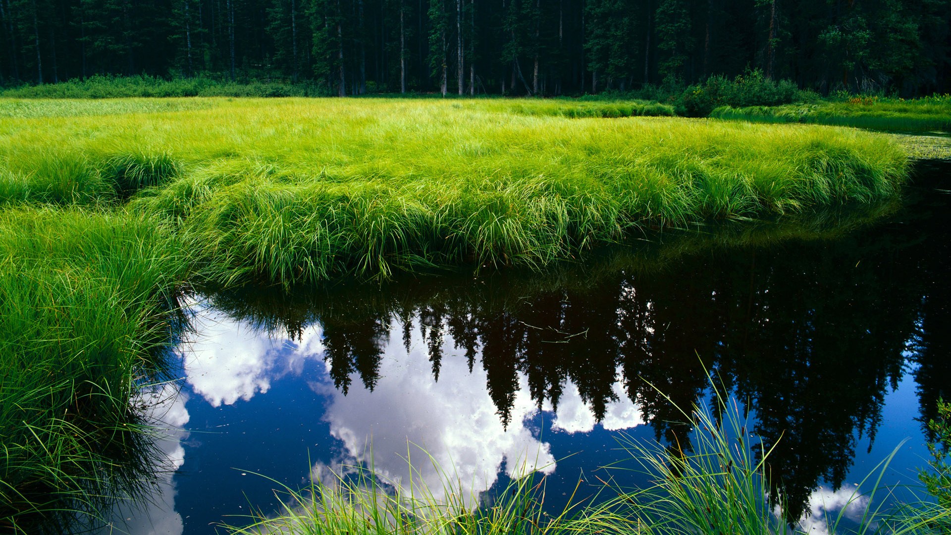 中国三人篮球男队加强快速传导 球风更灵活,篮球三人传球视频