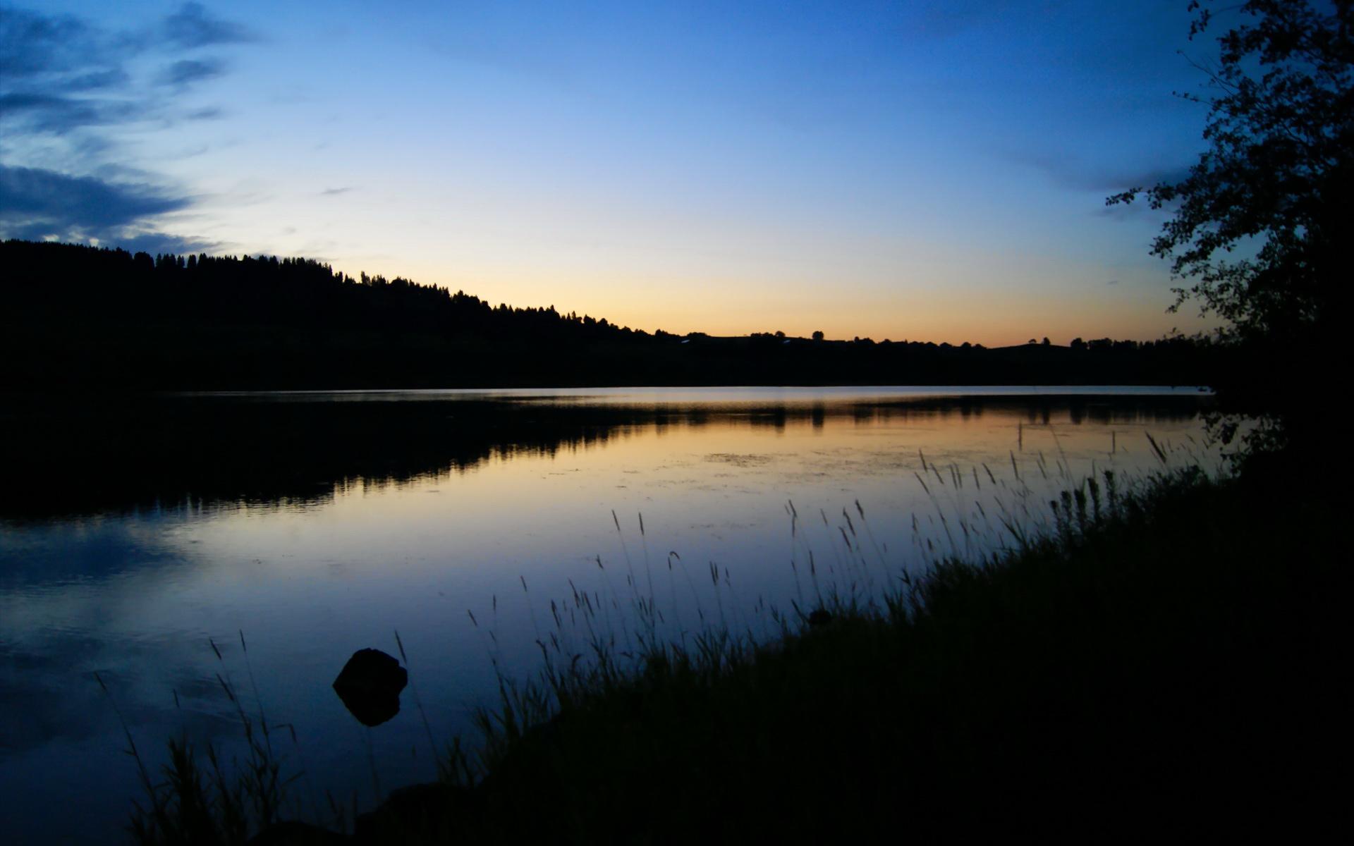 中国女篮主打快速反击 战术布局日益清晰,中国女篮打得怎么样