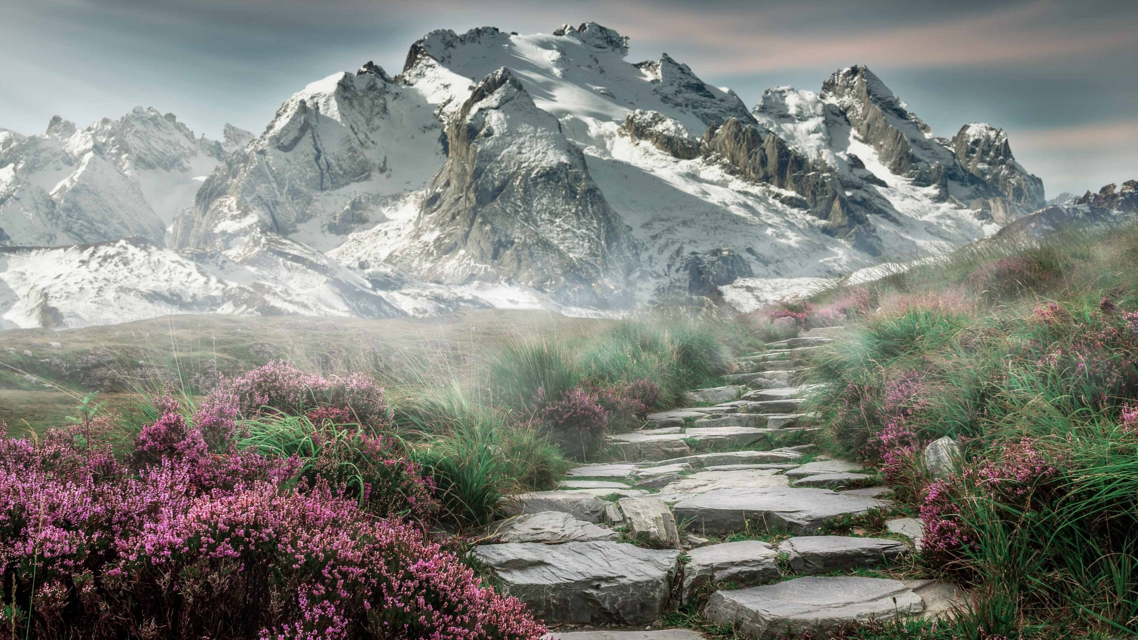 中国跳水新秀首次亮相国际赛场表现不俗，中国跳水队新秀