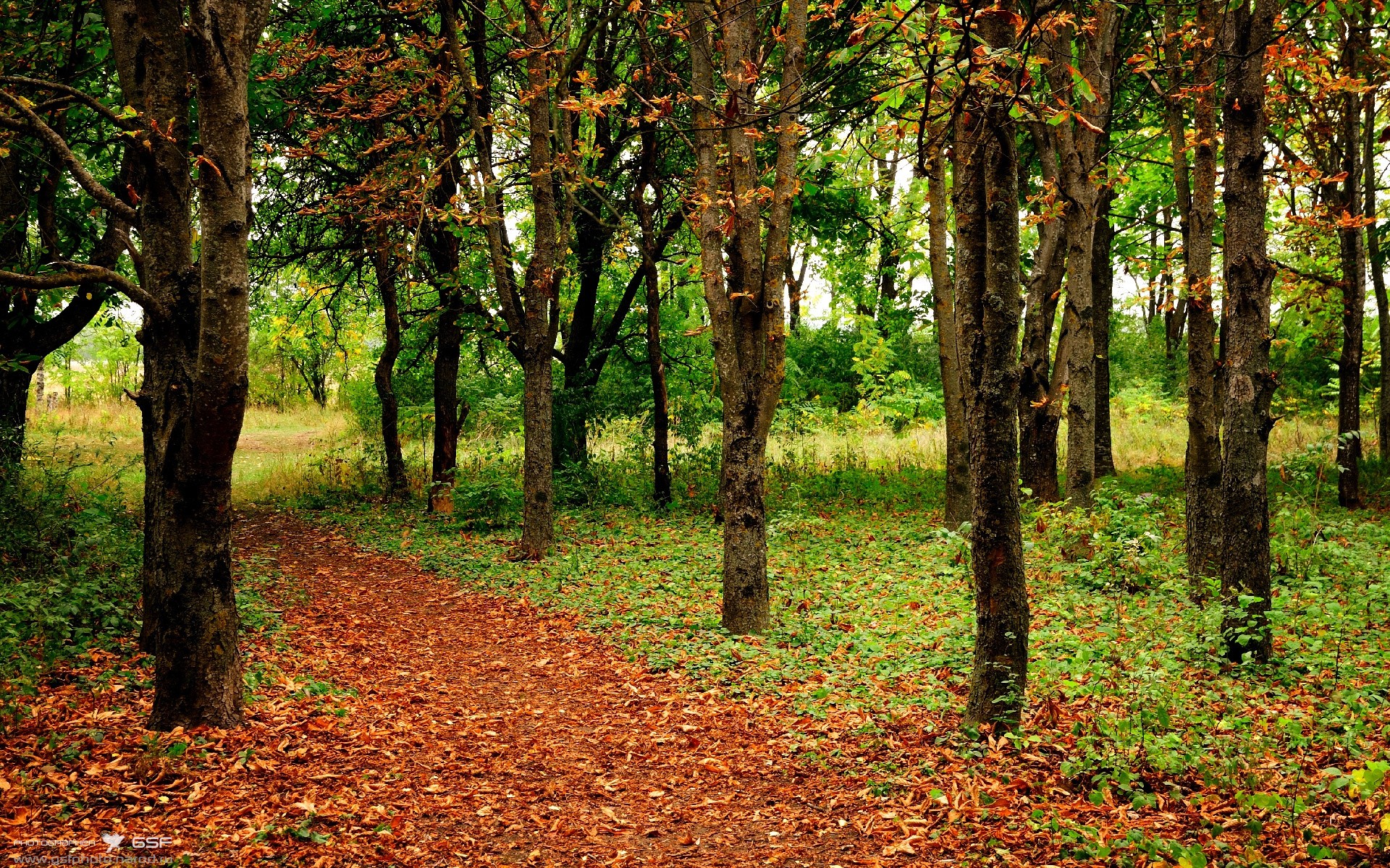体能训练和乒乓球技术结合走向新高度，乒乓球体能技能的训练手段