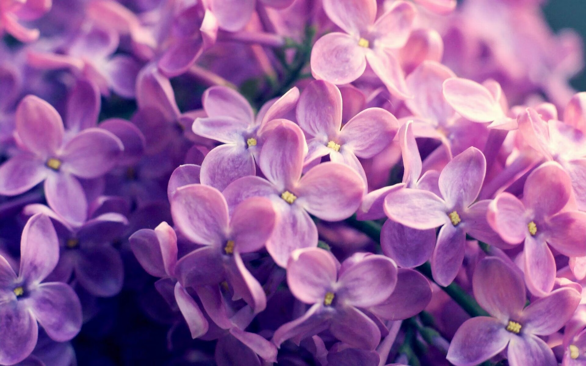 划频波动数据对冲刺效果影响,划幅和划频