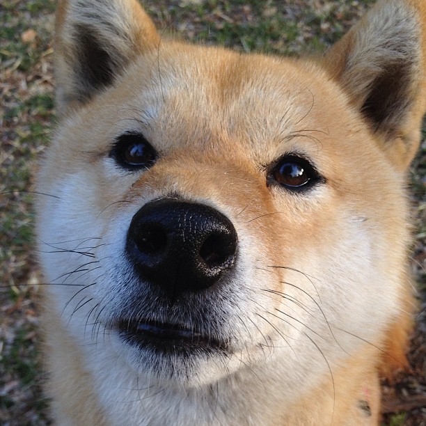 乐鱼官网安全-助攻与得分之间的角色转换方式，助攻怎么算