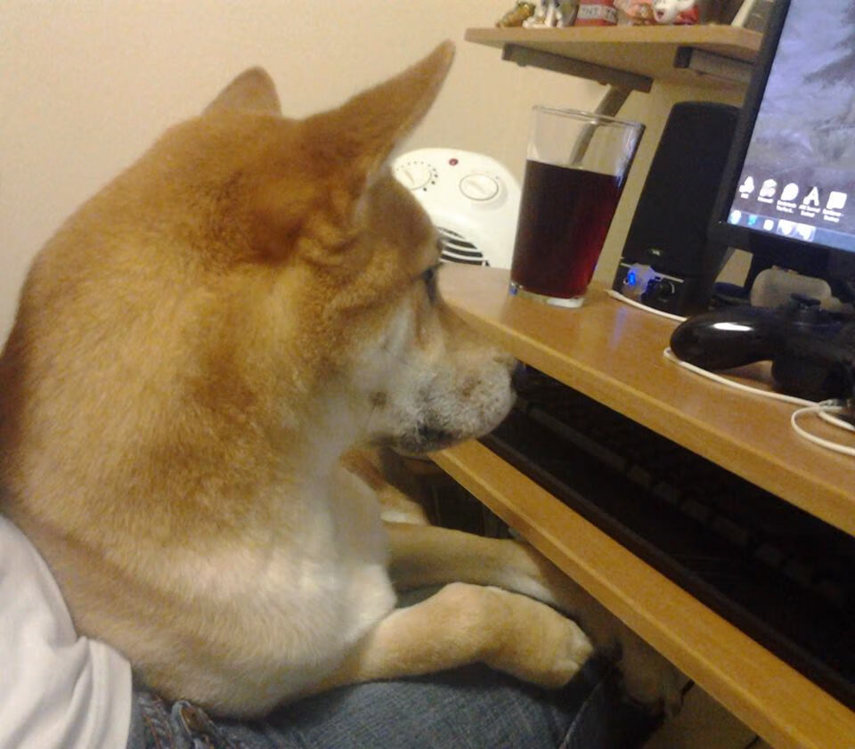 乐鱼体育下载-大学生田径锦标赛北京站创多项新高，2021年全国大学生田径锦标赛规程