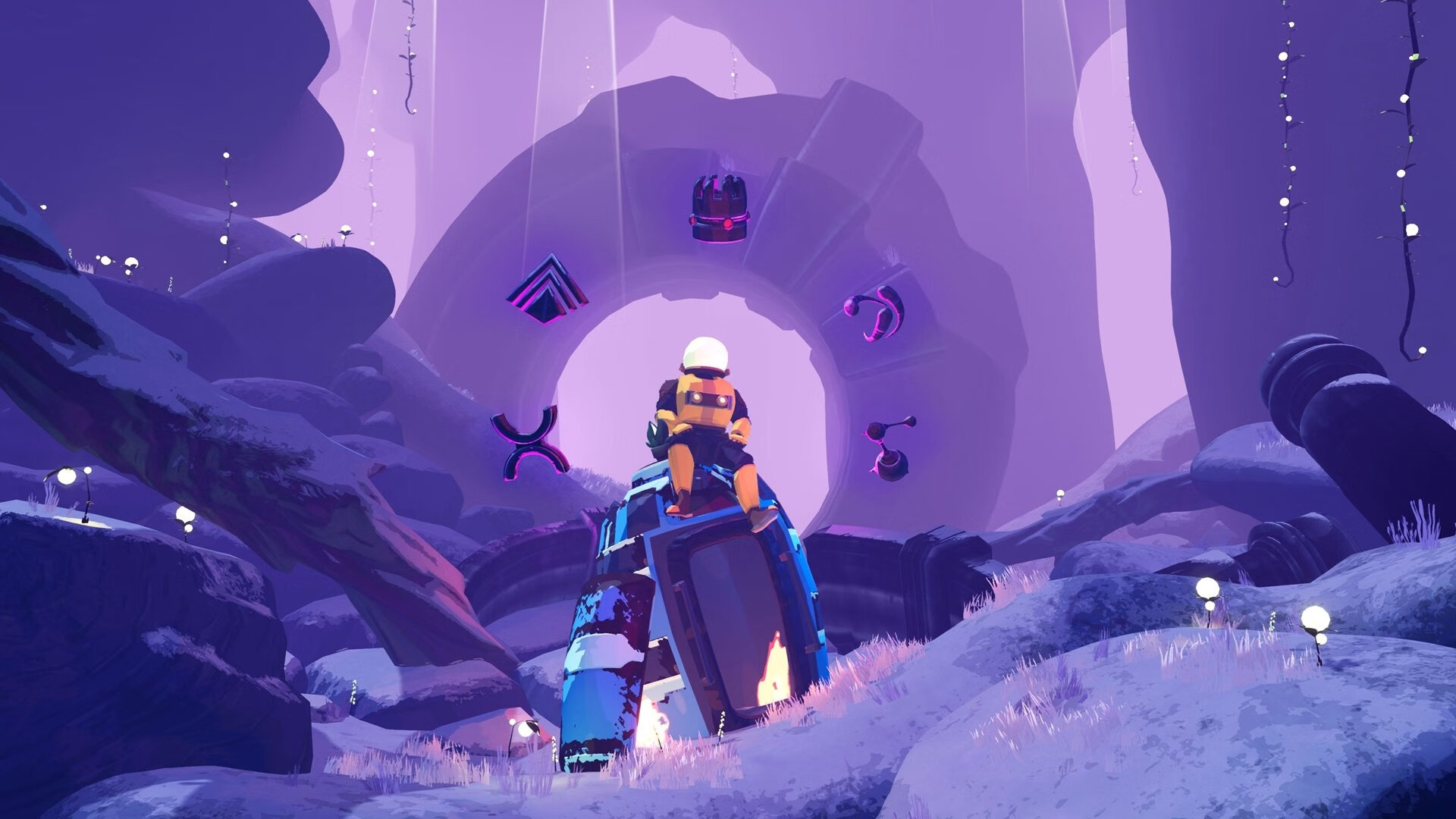 “萨尔·巴赫的背后故事:从草根到南非橄榄球明星”