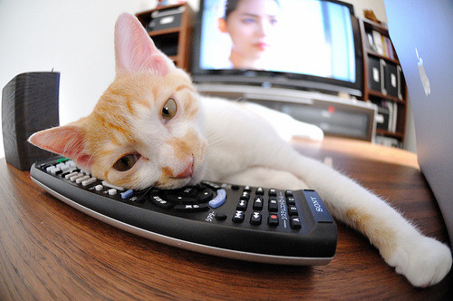 中国篮球推动青少年篮球竞技水平整体提升,我国青少年篮球训练现状