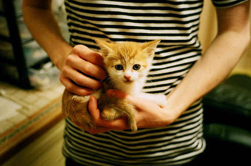 中国足球青训工作取得阶段性突破,中国足球青训发展