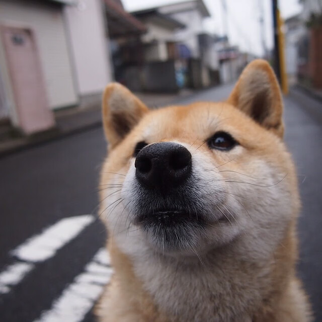 中国足球青训工作取得阶段性突破,中国足球青训发展