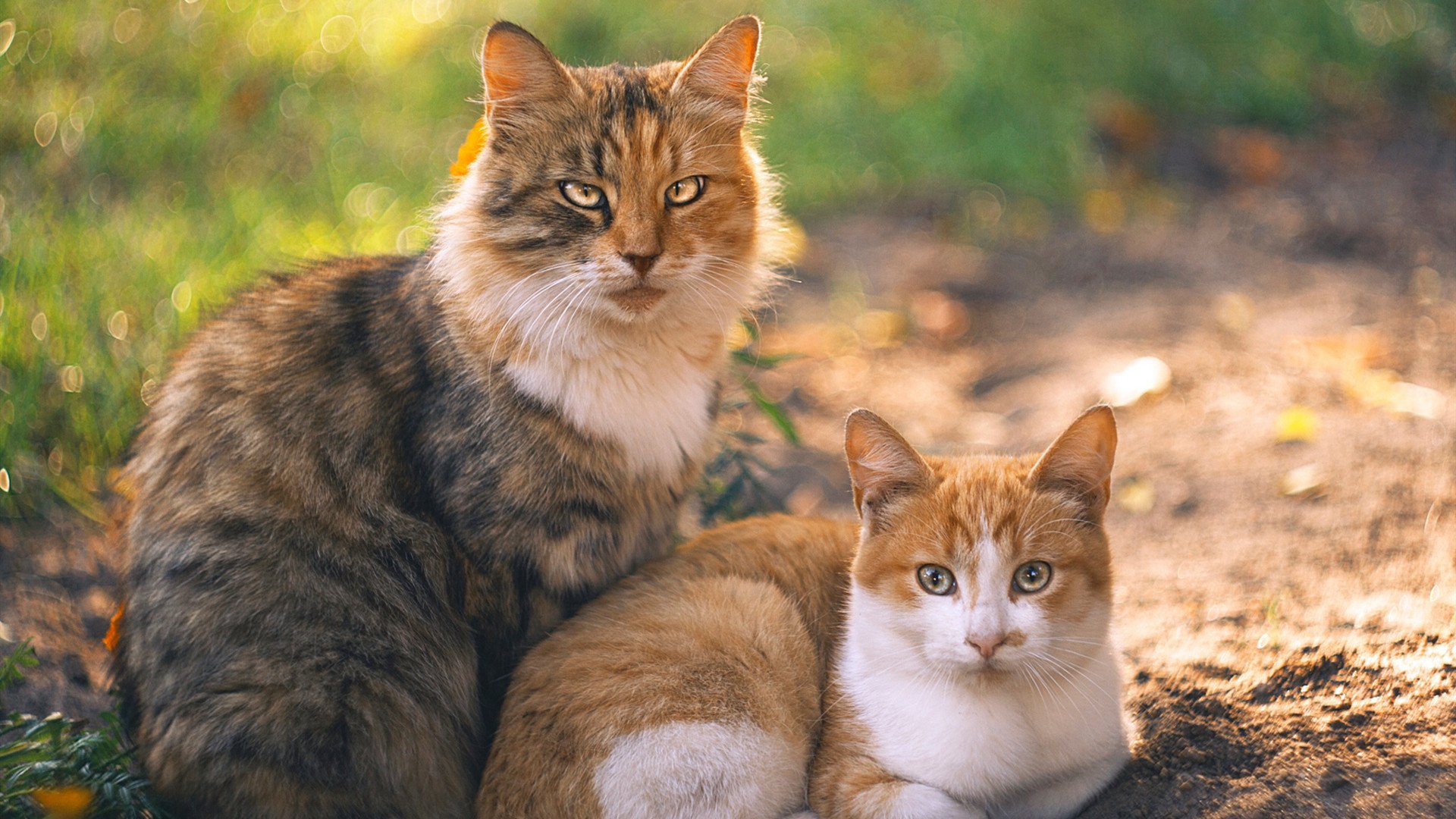 乌拉圭全队士气高昂,期待在国际舞台上有精彩表现